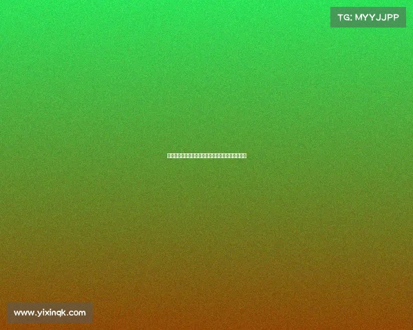 雷恩城市历史文化与现代发展的交融探索与未来展望